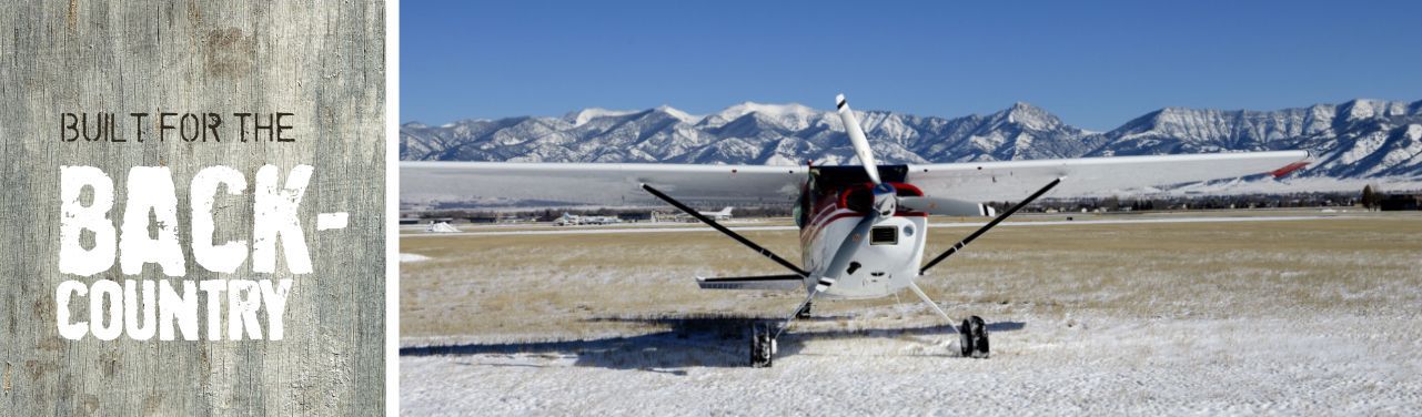 Backcountry plane in front of mountain range