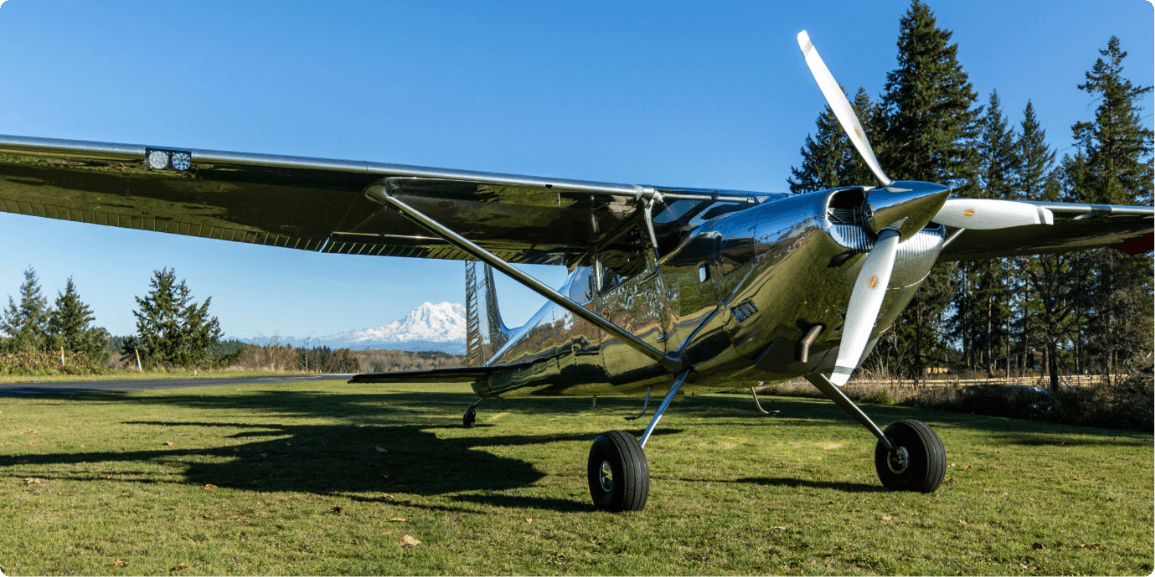 Silver airplane in nature